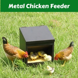 Gavinjitao Metal Chicken Feeder,Automatic Chicken Grit and Oyster Shell Feeder Hanging or Ground Food Dispenser with Lid Coop Accessories Outside Suitable for Chickens Ducks Quails