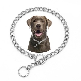 Chain Dog Choke Collars for Medium Dogs,Stainless steels Silver M Slip Link Training Heavy Duty Dog Choker Collar Martingale Puppy Collars for Small Medium Large Big Breed Dogs