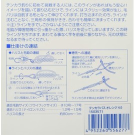 宇崎 日新 Ten Set Chinese 冨士 Flow tenkarabasu Orange 4.0 m