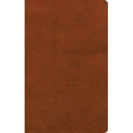 NASB Single-Column Personal Size Bible, Burnt Sienna LeatherTouch, Black Letter, Presentation Page, Full-Color Maps, Easy-to-Read Bible Serif Type