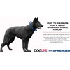 Herm Sprenger Prong Dog Training Collar Ultra-Plus Chrome Plated Steel