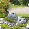 Seal Head Large / Small - Floating Animal for Mini