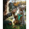 FAYOGOO Escape Proof Cat Harness and Leash Set for Walking,