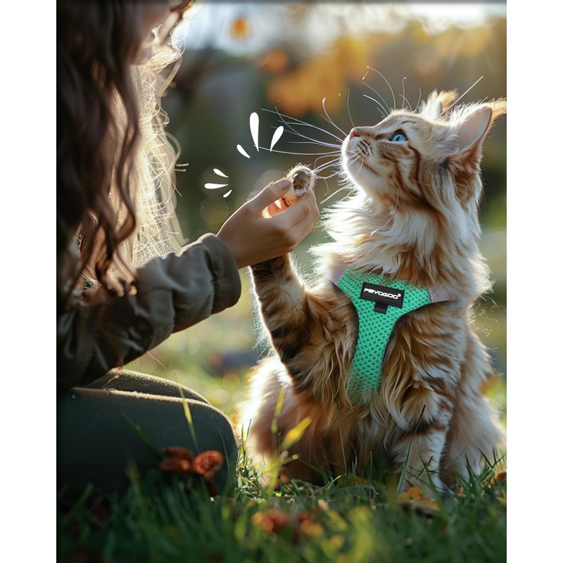 FAYOGOO Escape Proof Cat Harness and Leash Set for Walking,