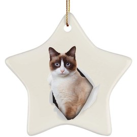 Funny Snowshoe Cat Light Gold Coming Out of Cracked Wall Gifts 2025 Christmas Tree Ornaments Ceramic Star