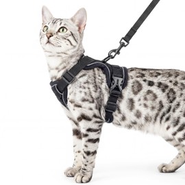 pangdi Cat Harness and Leash Set Escape Proof Tactical Extra Large Kitten Harness Emotional Support Cat Vest, Black, XXL