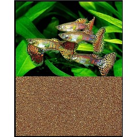 Aquaticblendedfoods Ultra Guppy Micro Bit Mix Fish Food - Guppy,Endlers,Most Small Fish,Spirulina ABF320(16oz - 1 LB.)