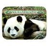 Zoo Atlanta with Panda Photo Fridge Magnet