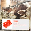 BESPORTBLE Plastic Salt Block Holder for Livestock Cattle Sheep Salt
