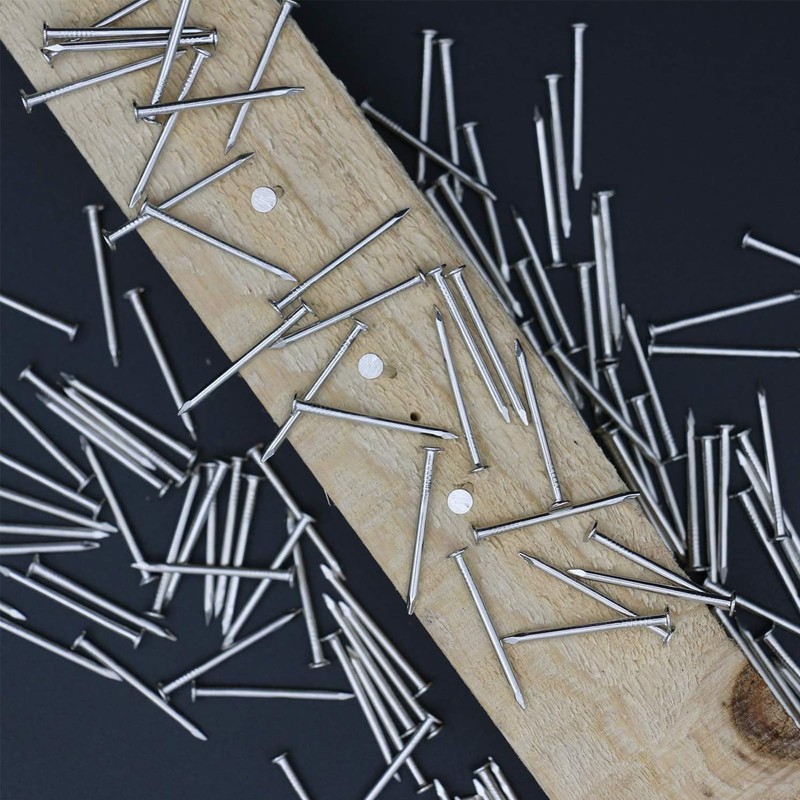 ORTAVA Pack of 100 steel nails, steel nails for use