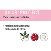 Duo Shampoo Y Acondicionador 1lto Color Protect Framesi
