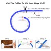 HIGO LED Dog Collar Light, USB Rechargeable Light Up Collars,