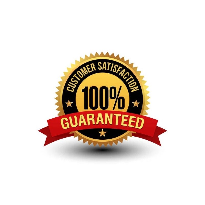 Zeahot AI Translation Real Time Smart Instant Earbuds Online &