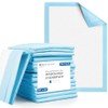 Henry Schein Disposable Underpads, 30x36 – Light Absorbency, 2-Ply Tissue,