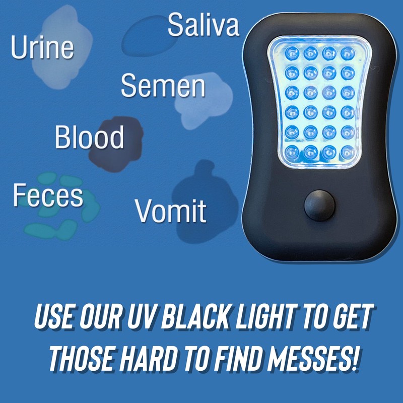 Stink Free UV Black Light Flashlight for Pet Urine Detection.
