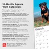 Rottweilers | 2024 12 x 24 Inch Monthly Square Wall
