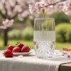 GYRUT 14oz Highball Glasses[Set of 4] Elegant Drinking Glasses for