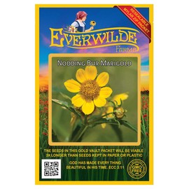 Everwilde Farms - 600 Nodding Bur Marigold Native Wildflower Seeds - Gold Vault Jumbo Seed Packet
