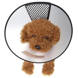 Antibite No. 7 Pet Cone Collar (E-Collar) for Protection & Licking Prevention Antibite No. 7 BL03724 100ea