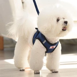 BBGS Pet Harness, Dog Harness, Harness Set, For Small Dogs and Cats, Leased, Stylish, Cute, Popular, Reduces Coughing, Breathable, Easy to Put On and Take Off, Collar, Reflective Tape at Night, Safe,