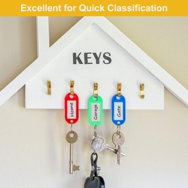 Coideal Key Tags with Labels Coloured, 60 Pcs Plastic Key Fobs with Split Rings, ID Keyring Tags 6 Colours for Luggage Pet Name and Office