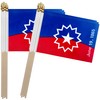 TSMD Juneteenth Stick Flag Small Mini June 19th 1865 Black