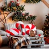 Suzile 3 Pcs Christmas 3D Candy Throw Pillows Red White