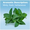 doTERRA - Peppermint Essential Oil - 15 mL