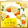P&G Lenor Happiness Yumefuwa Touch Citrus & Verbena, Refill, 13.5