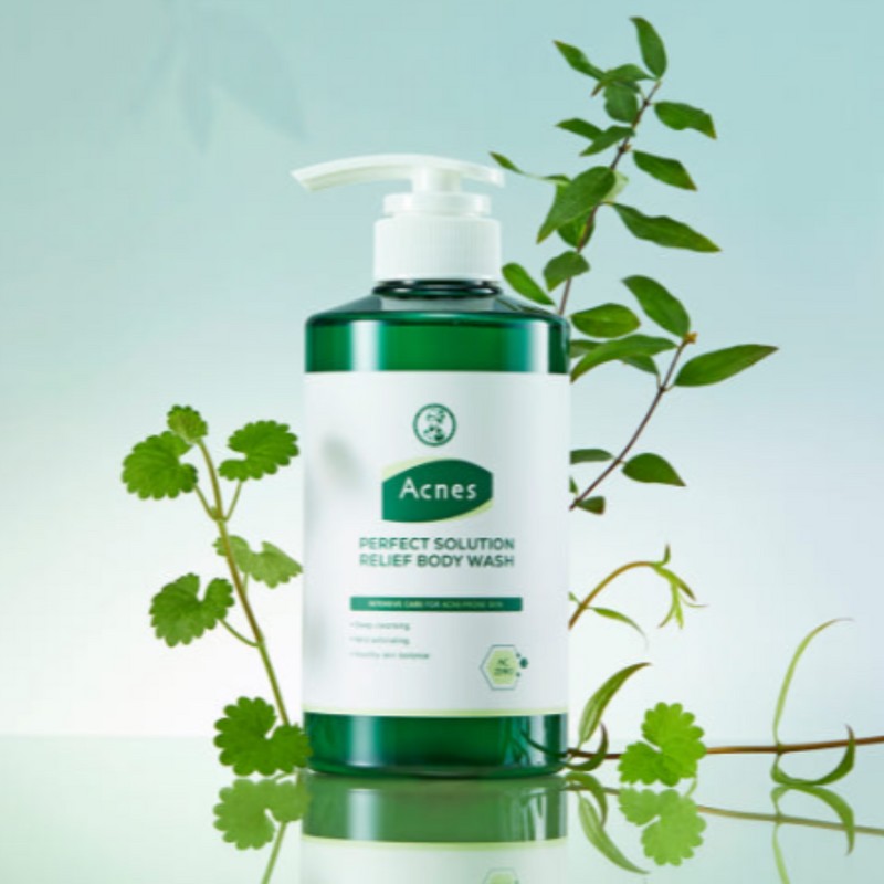 Acnes Relief Body Wash Cleanser Perfect Solution (2 packs) /
