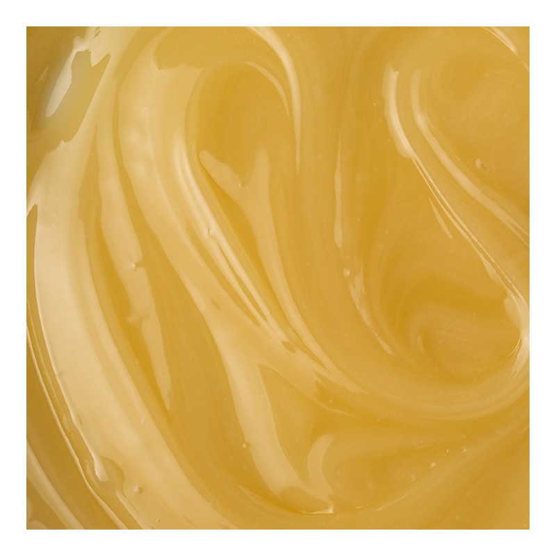 Holland & Barrett New Zealand Clover Honey