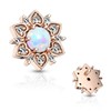 CZ Flower with Opal Center Internally Threaded 14GA Dermal Anchor