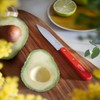 OPINEL Essential No.113 Serrated Paring Knife, Hornbeam Handles, Made in