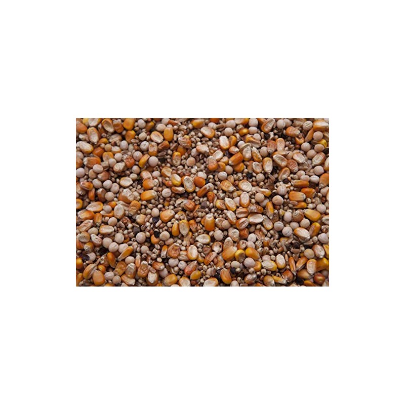 Regular Pigeon Mix (12%) 20 lbs Y