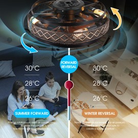 SHIHOT 18" Low Profile Caged Ceiling Fans with Lights and Remote, Flush Mount Ceiling Fan with Light, Bedroom Fan, Small Industrial Black Ceiling Light Fixture, Reversible(Bulbs Not Included)