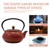 SECHUDO Cast Iron Teapot Tea Kettle with Stainless Steel Infuser