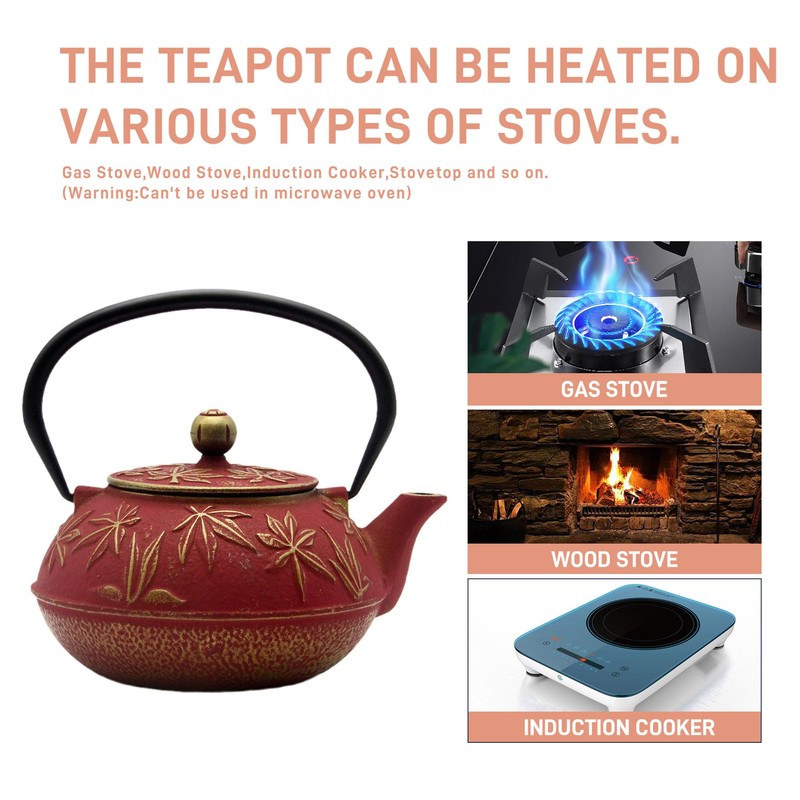 SECHUDO Cast Iron Teapot Tea Kettle with Stainless Steel Infuser