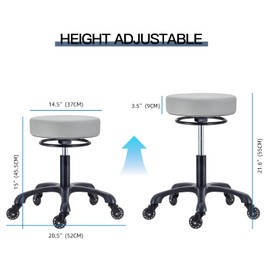 Coczeb Rolling Salon Swivel Stool Chair Aesthetic Work Chair for Spa Massage Manicure Stool(Gray Color)