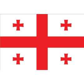 GLOBAL ADVERTISING SOLUTIONS 3x5 Country National Flag Made in USA Bright Colors Long Lasting and Weather Resistance Country State Flag only Without Pole kit and Mount (Georgia)