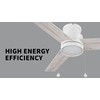 Carro 52" Flush Mount Ceiling Fan with Light Low Profile,