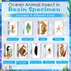 Rotatingpals 9 Pcs Marine Life Specimen Set Ocean Animal Insect