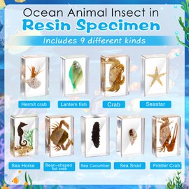 Rotatingpals 9 Pcs Marine Life Specimen Set Ocean Animal Insect in Resin Specimen Bugs Collection Paperweights with Magnifier Marine Animal Specimens for Scientific Educational Display Collection
