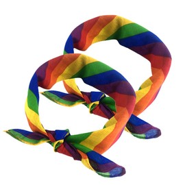 MSLing Pack of 2 Rainbow Bandana Rainbow Headbands Neckerchief Gay Pride Accessories Costume Headband Headscarf Gay Pride Party Celebration Accessories