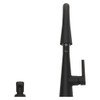 Pfister Barulli Kitchen Faucet with Pull Down Sprayer and Soap