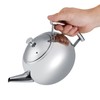 2L 201 Stainless Steel Teapot Coffee Tea Pot Kettle with