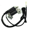 Lumix GC Ignition Coil For Cummins Onan HomeSite Power 2400