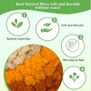 Iceland Moss, Moss in 5 Different 200 g for Moss