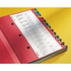 Leitz 59140095 Colour Desk Organiser with 24 Sections and Cardboard