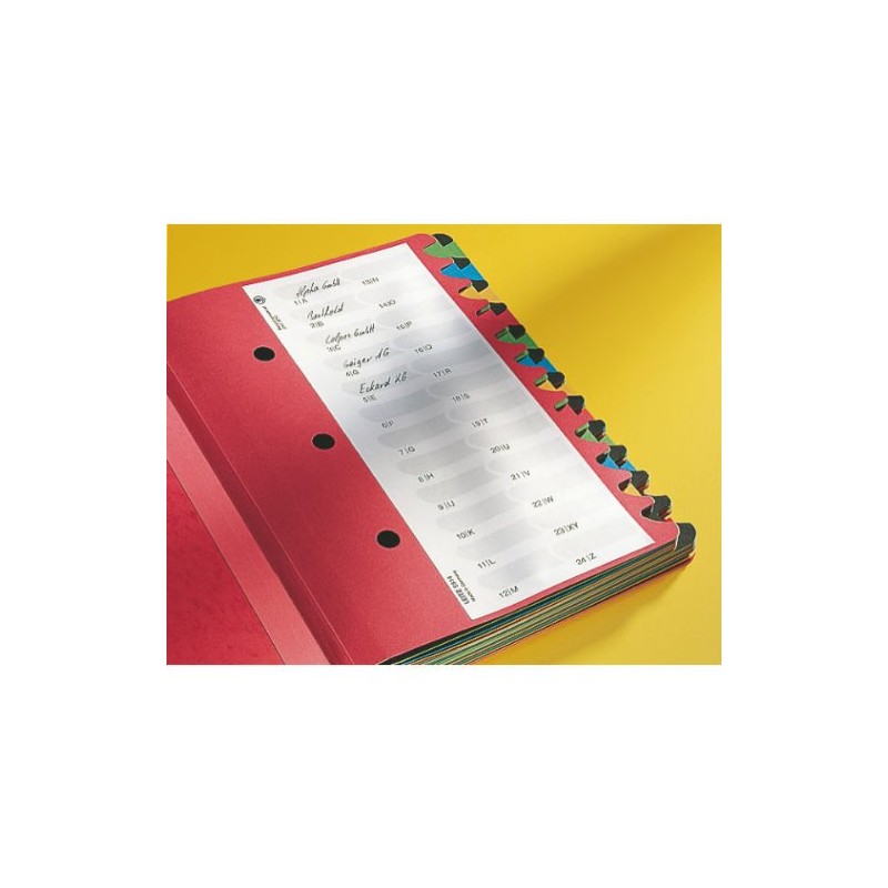 Leitz 59140095 Colour Desk Organiser with 24 Sections and Cardboard