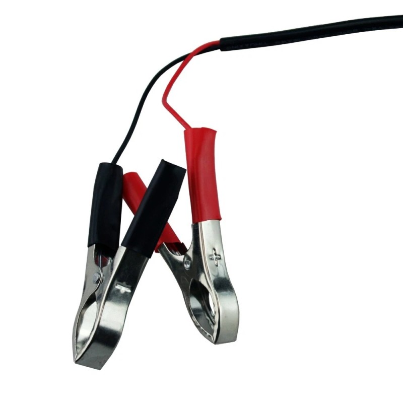 Banshee Sealed Lead Acid 12V Battery Smart Charger for Kid